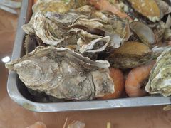 -渔码头食府(蓬莱阁店)