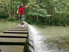 -桤木河湿地公园