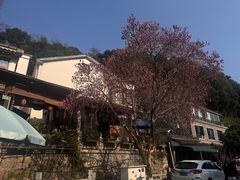 -龙井壹号·茶缘山景宴(龙井村店)