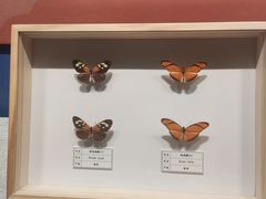 -四川宋瓷博物馆