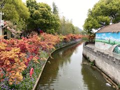 -苏州太湖西山岛开心农场