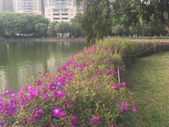 -CHARLES&KEITH(1234space店)