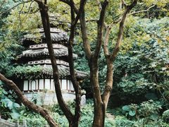 -深圳国际园林花卉博览园