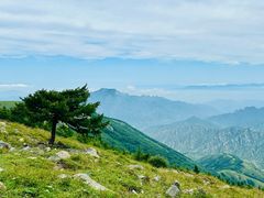 -灵山