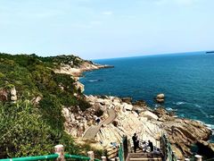 -广东惠东海龟国家级自然保护区