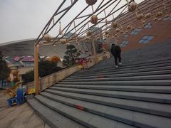 -重庆国际马戏城