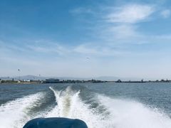 -哈素海