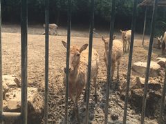 -无锡动物园·太湖欢乐园