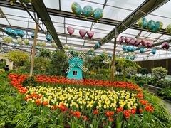 -南宫五洲植物乐园