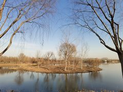 -东郊湿地公园