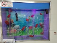-雅悦齿科(顾村公园店)