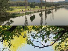-沂蒙山旅游区云蒙景区(蒙山国家森林公园)