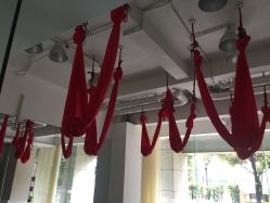 -榕树上·瑜伽普拉提