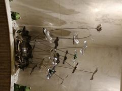 -阿五黄河大鲤鱼(纬三路店)