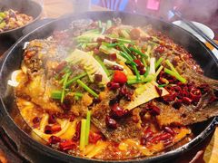 -老板恋上鱼(高新万达店)