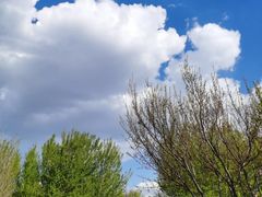 -蒲河岛湿地公园