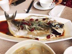 九龙阁中餐厅(开元九龙湖度假村店)-锦园餐厅(九龙湖开元度假村店)
