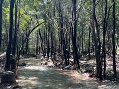 -玉渡山自然风景区