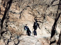 -北京鹫峰国家森林公园
