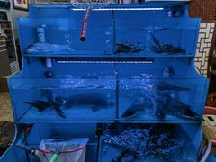 -韩妹鱼庄·泸定老字号(泸定店)