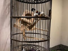 -清真·京华源铜锅涮肉(丰庆店)