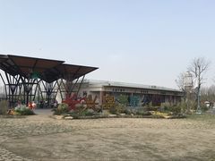 -上海长兴岛郊野公园