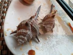 -宁波阳光豪生大酒店·豪生咖啡厅