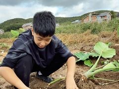 -大连北马山庄