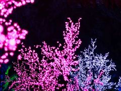 -宝晶宫旅游景区