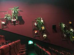 -万达影城(南宁万达茂IMAX店)