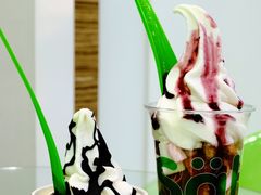 -Salud撒露欧洲冻酸奶(蓝色港湾店)