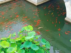 -北京市劳动人民文化宫(太庙)