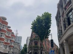 -巴公房子