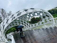 -同里国家湿地公园