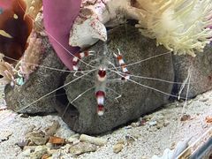 -太平洋海底世界