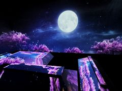-火影忍者动画多媒体展