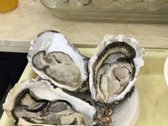 -源港渔村-中山脆肉鲩(博罗店)