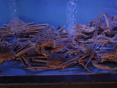 -阿伟海鲜楼·福建菜(延寿店)