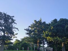 -白石龙音乐公园