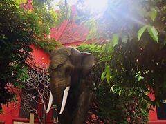 -柬埔寨国家博物馆