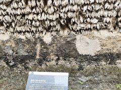 -小洲村