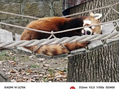 -上海野生动物园