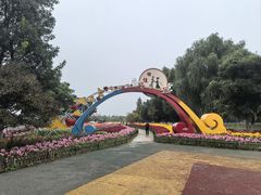 -泗洪洪泽湖湿地景区