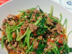 -壹盏灯(惠农店)