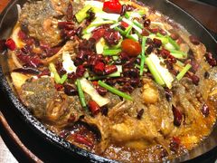 老板恋上鱼-老板恋上鱼(高新万达店)