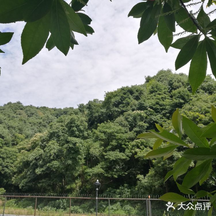 富阳华庭云顶小区， 环境优美， 四周青山绿水