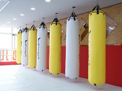 -津武堂散打搏击俱乐部(河西店)