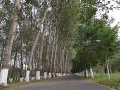 -东郊湿地公园