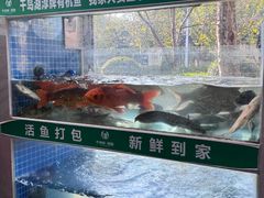 -全乐鱼馆·淳牌有机鱼直营店