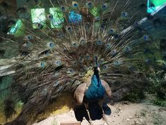 -陕西自然博物馆